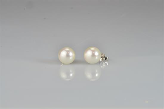 ORECCHINI LOBO SHELL WHITE IN ARGENTO 925°/°°